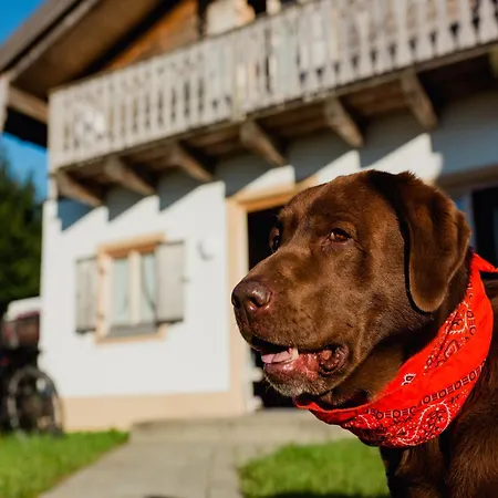 Im Landhausstil Im Vital Camp Casa vacanze Bayerbach