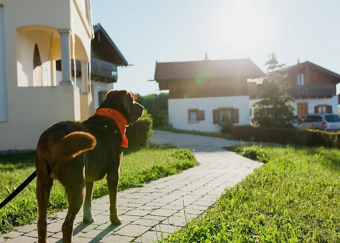Im Landhausstil Im Vital Camp